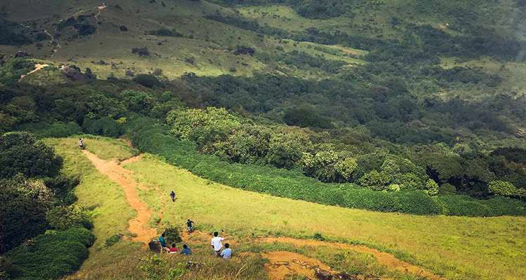 Kotebetta Trek / Peak, Coorg