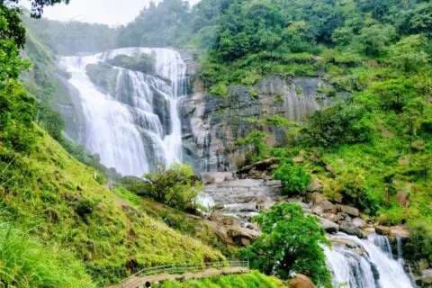 Coorg
